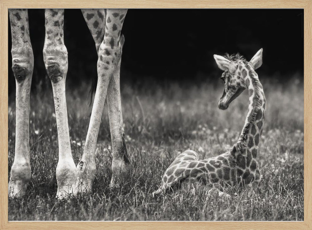 well protected | Poster