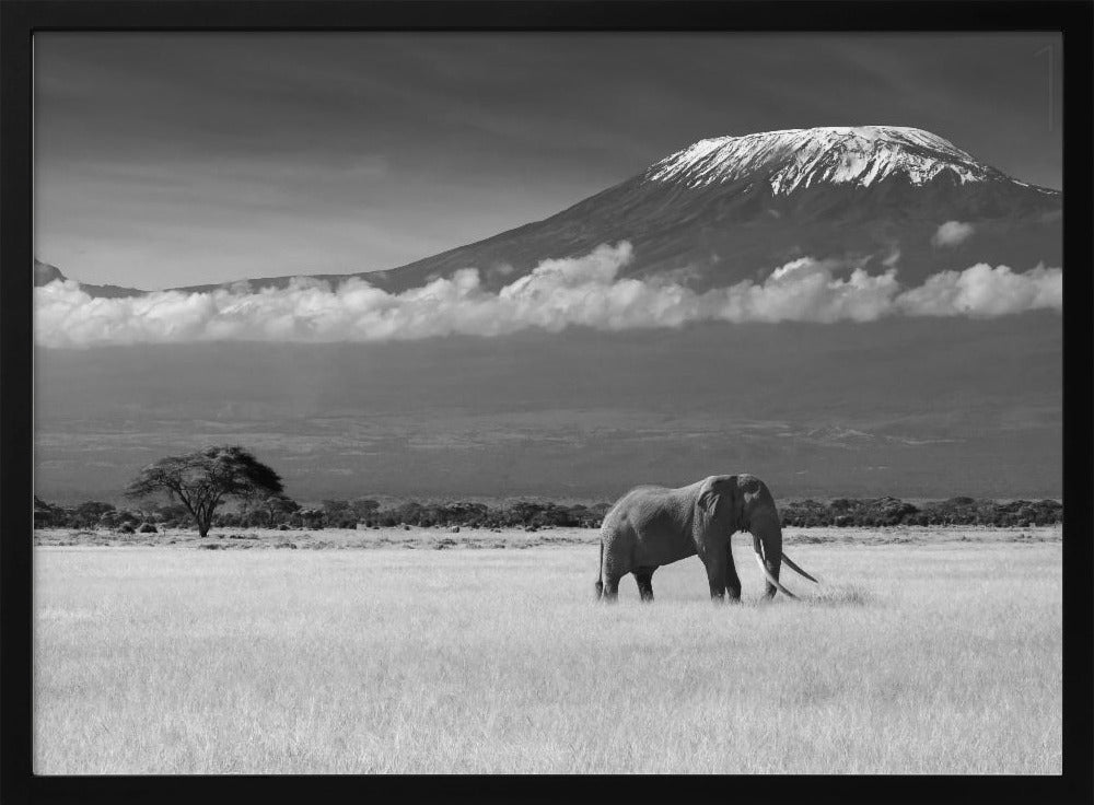 Lost Colors II | Poster