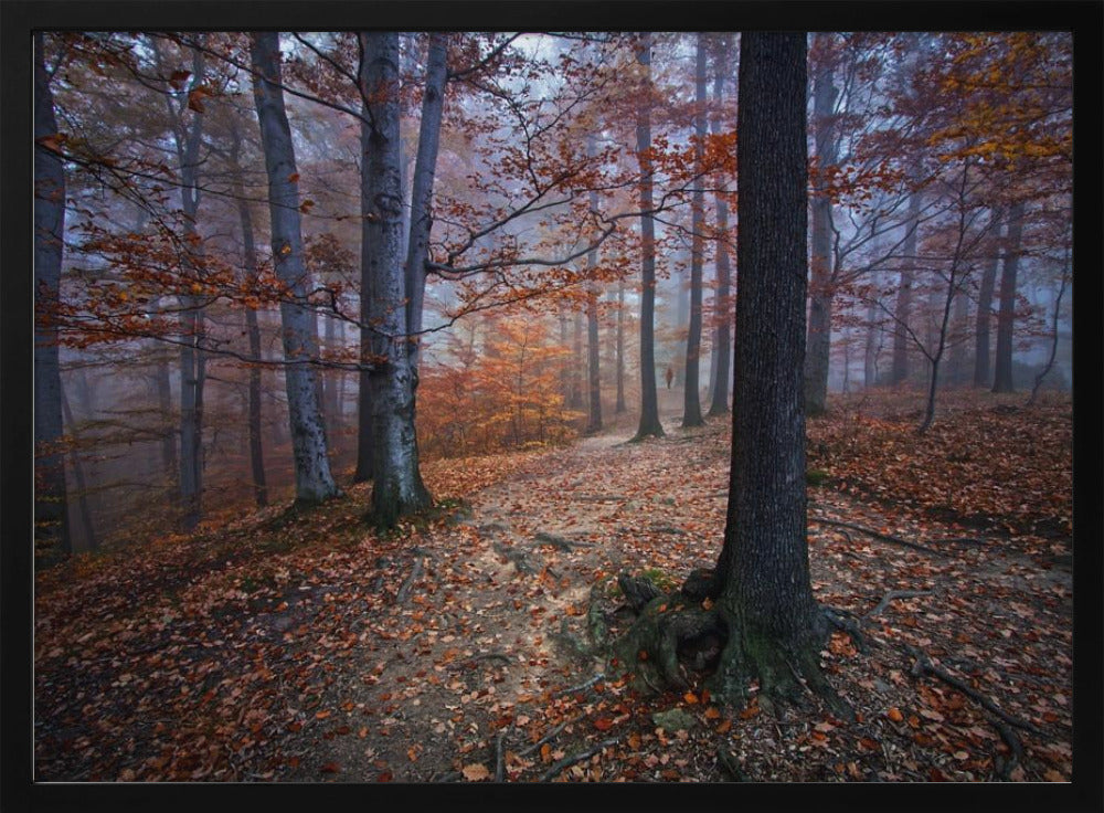 I was lost I was found | Poster