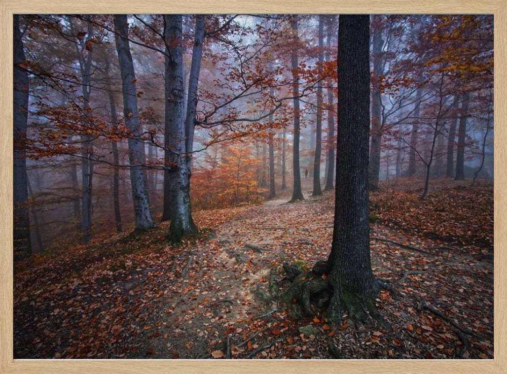 I was lost I was found | Poster