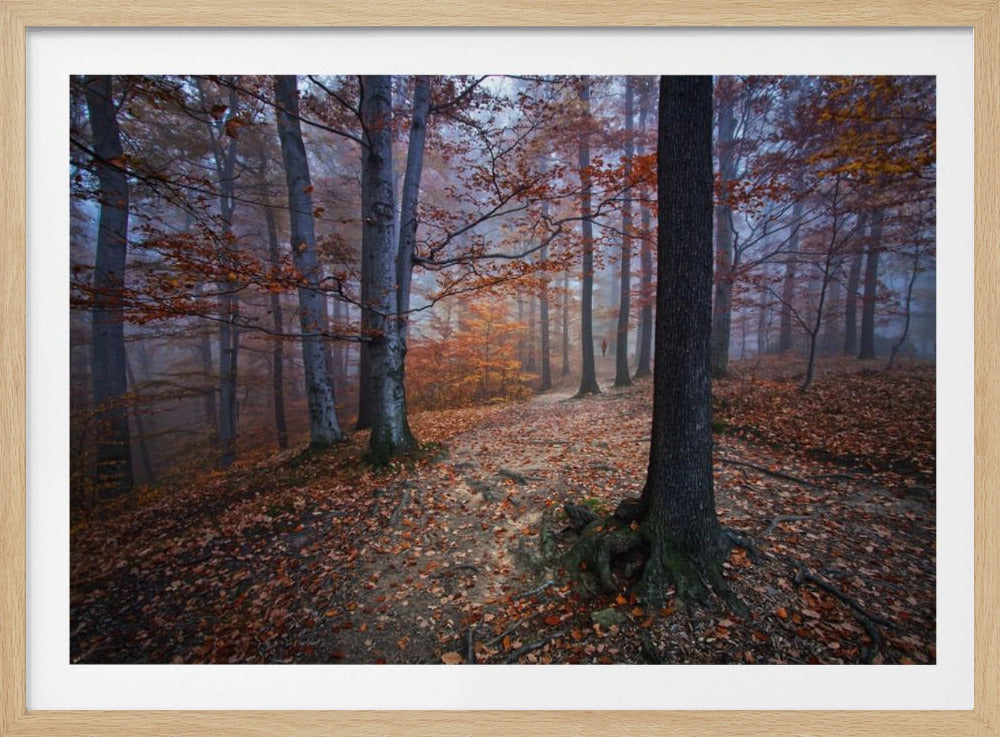 I was lost I was found | Poster