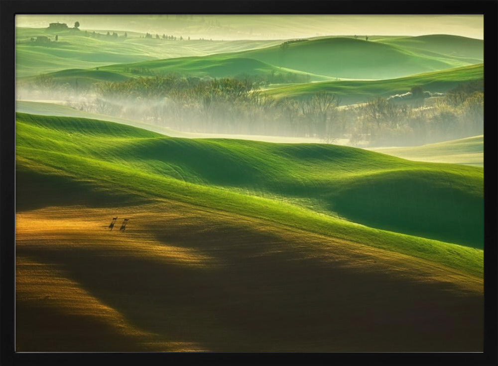 Freedom.... | Poster