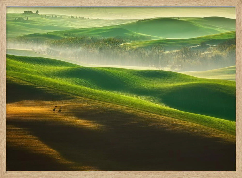 Freedom.... | Poster