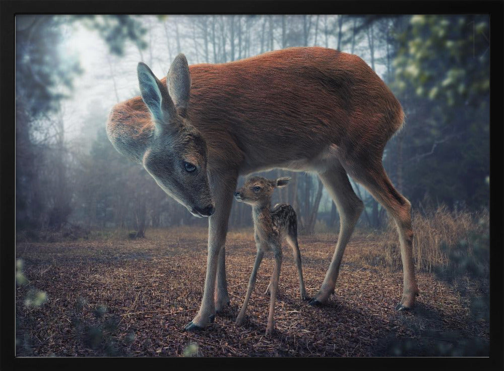 Mother and Fawn | Poster