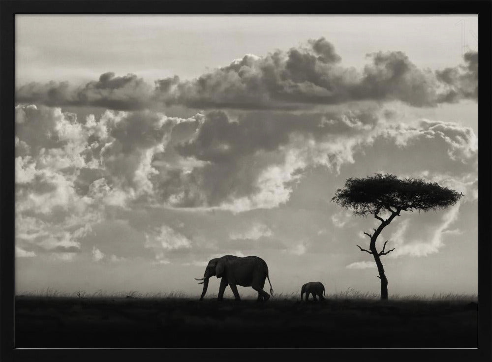 Silhouettes of Mara | Poster