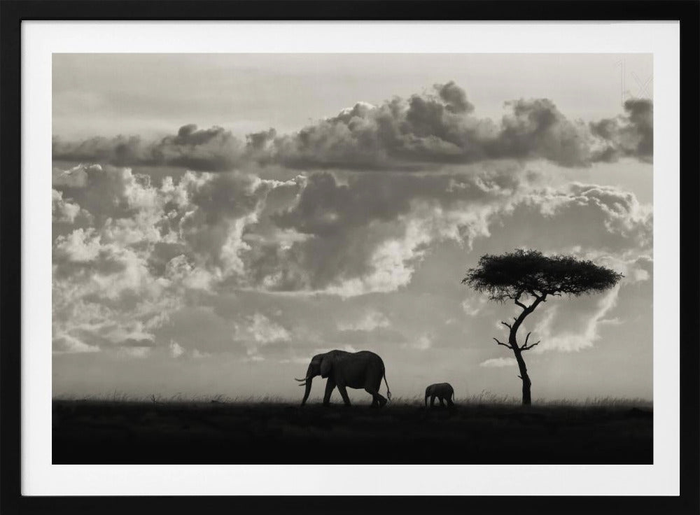 Silhouettes of Mara | Poster