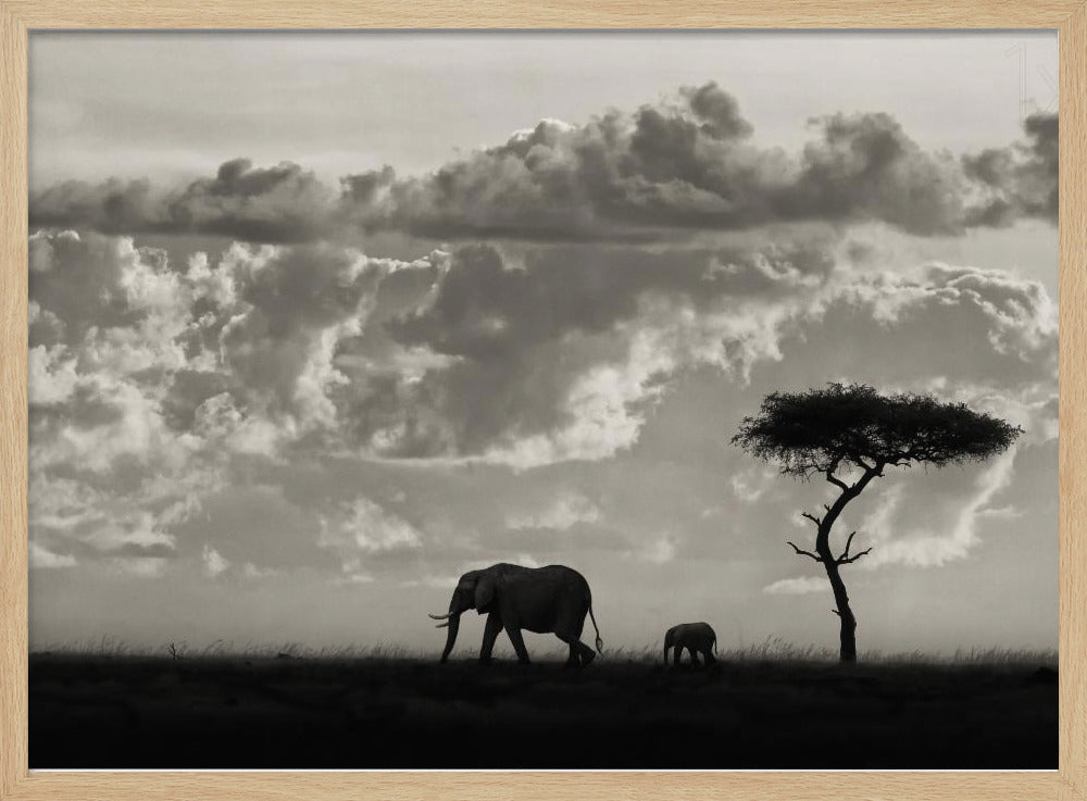 Silhouettes of Mara | Poster