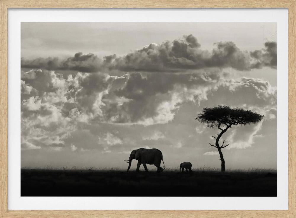 Silhouettes of Mara | Poster