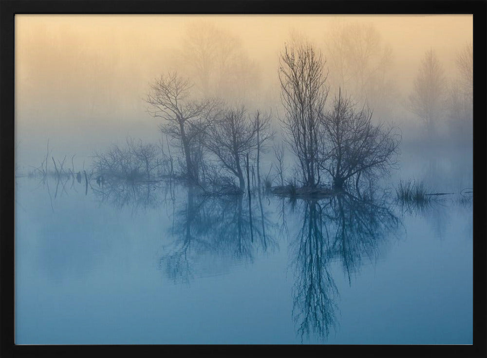 Morning reflection | Poster