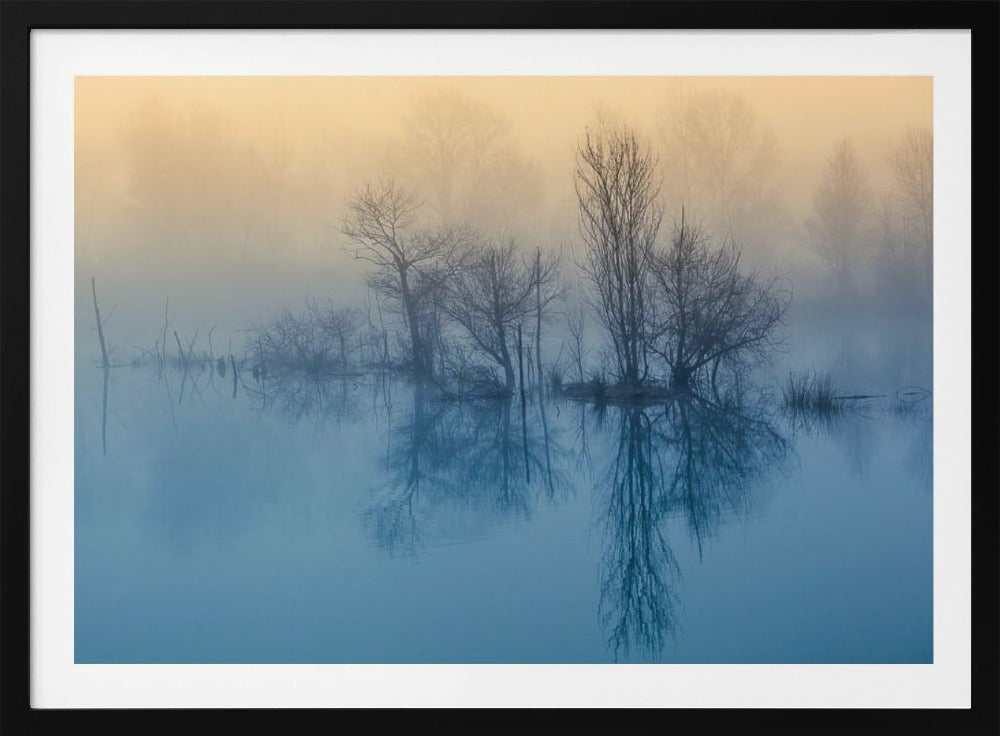 Morning reflection | Poster