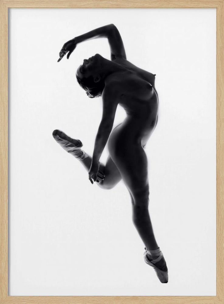 Fine Art Dance ... | Poster