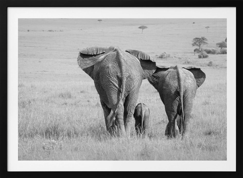 Three Butts! | Poster