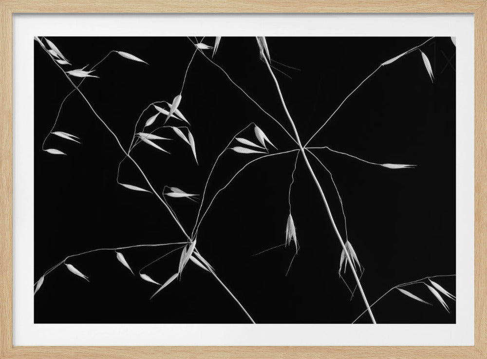 Crossed Lines | Poster