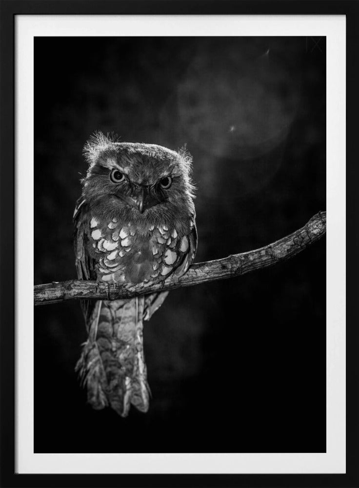 Alone in the night | Poster