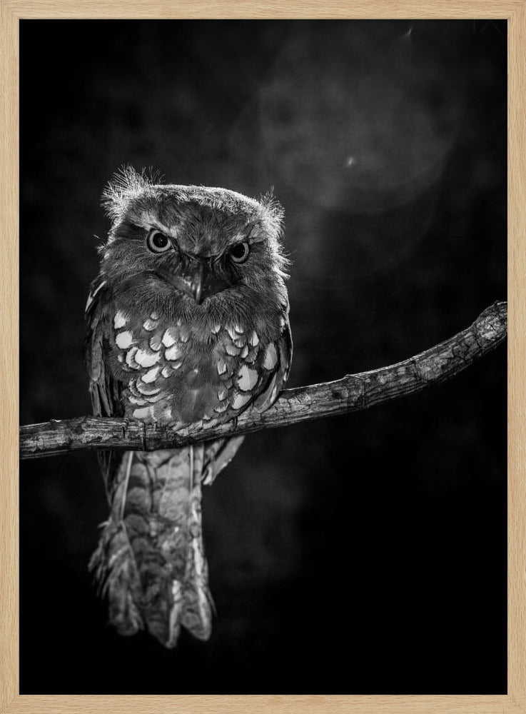 Alone in the night | Poster