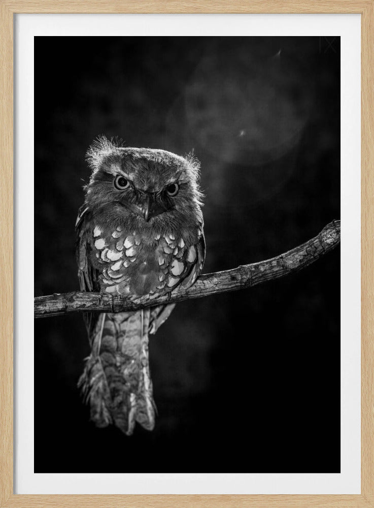 Alone in the night | Poster