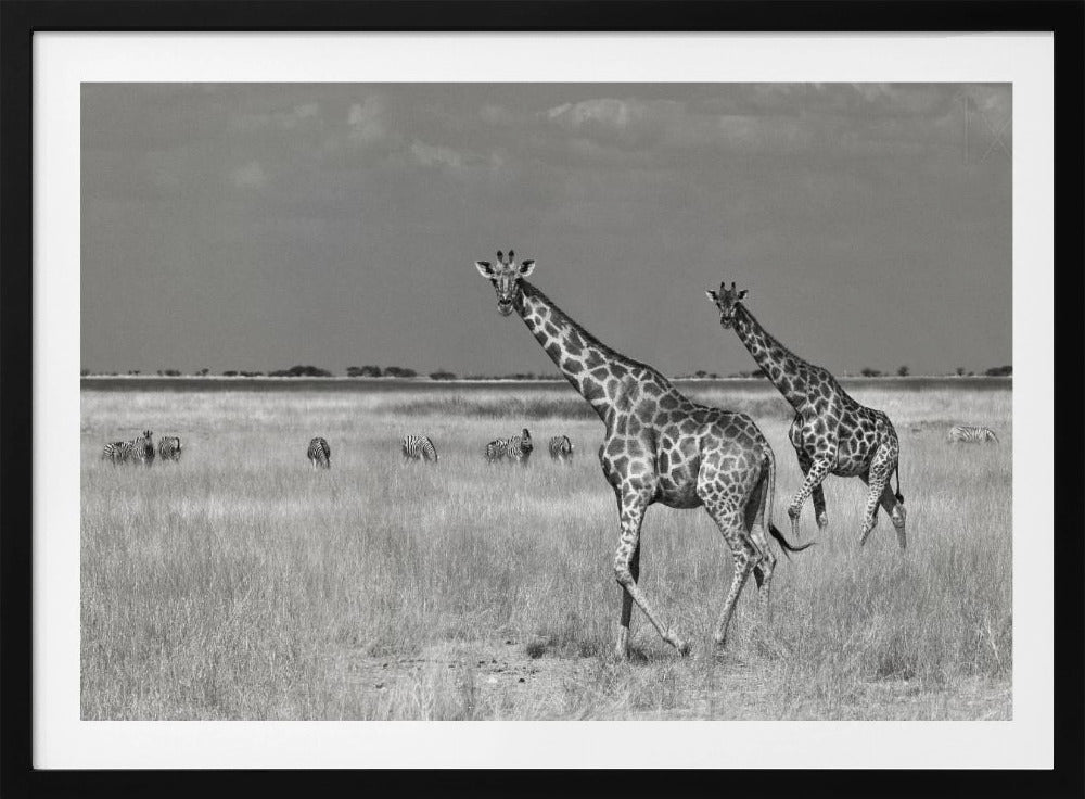 Tourists Spend | Poster