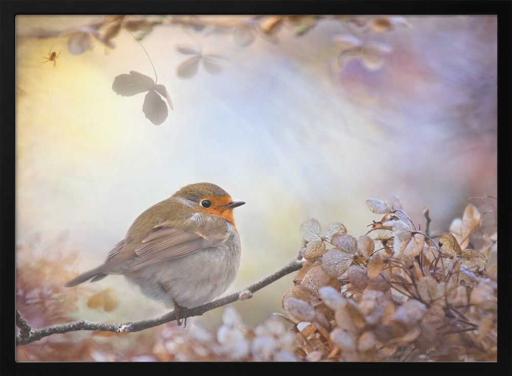 Robin on dreams | Poster