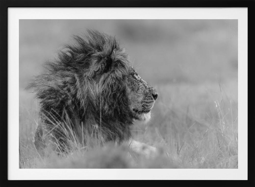 The king is alone | Poster