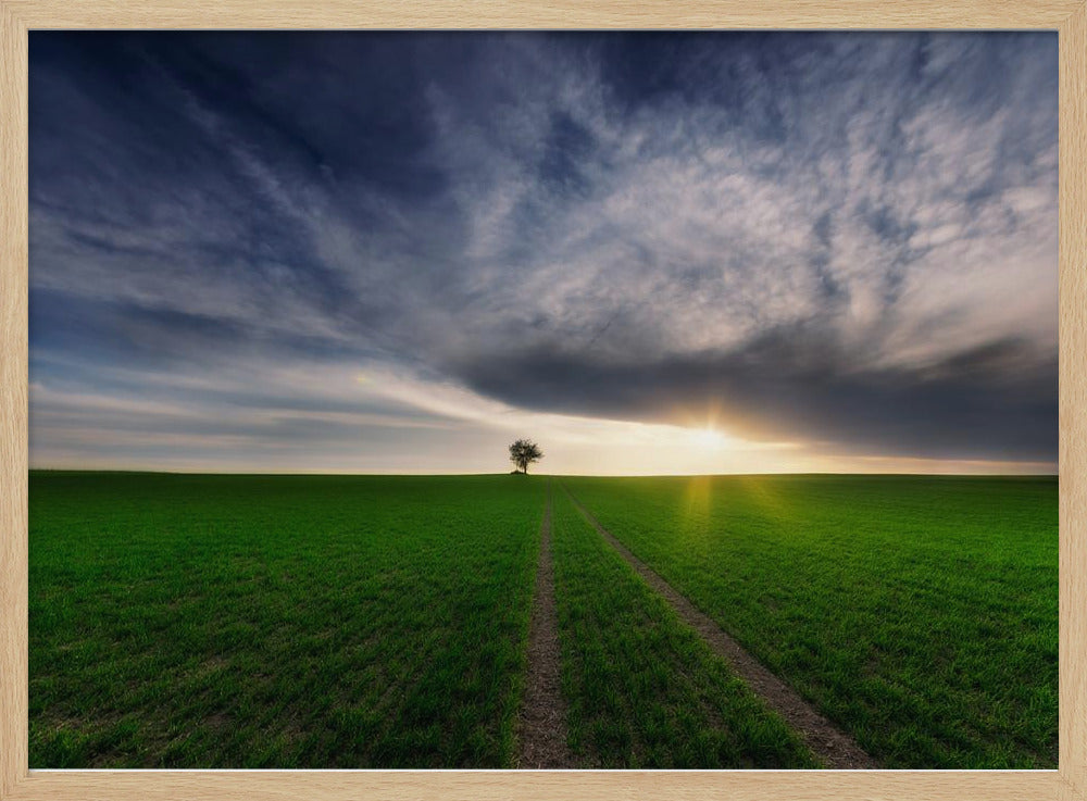 loner in the sun | Poster