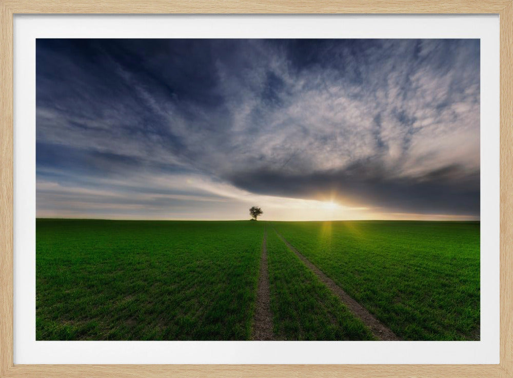 loner in the sun | Poster