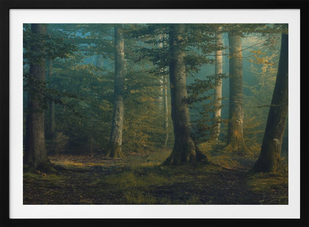 october colors | Poster