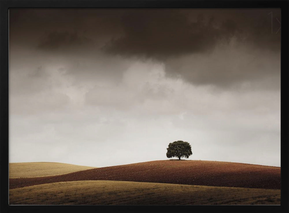 Tuve Que Pararme al Verla | Poster