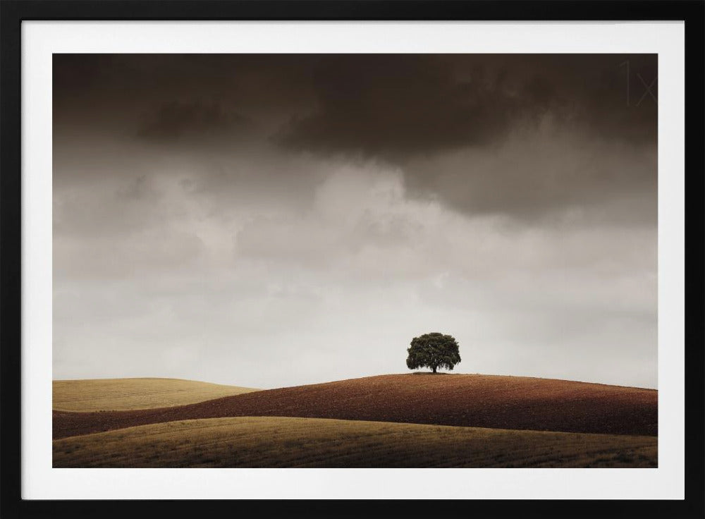 Tuve Que Pararme al Verla | Poster