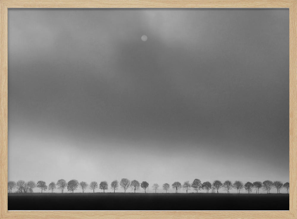 Polderlandscape | Poster