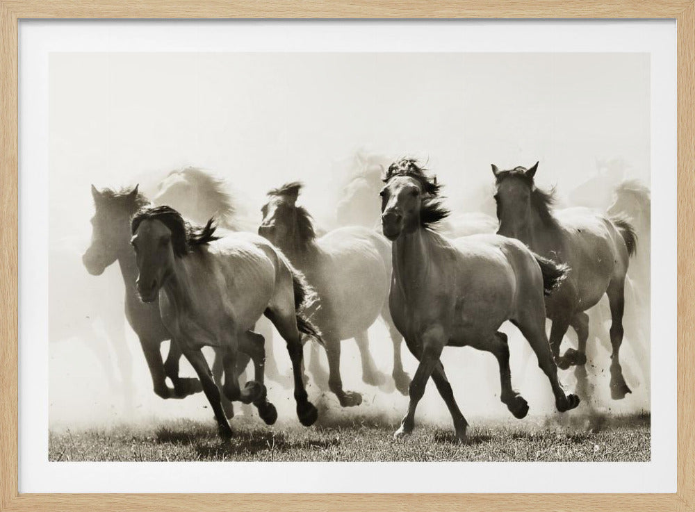 Horse | Poster