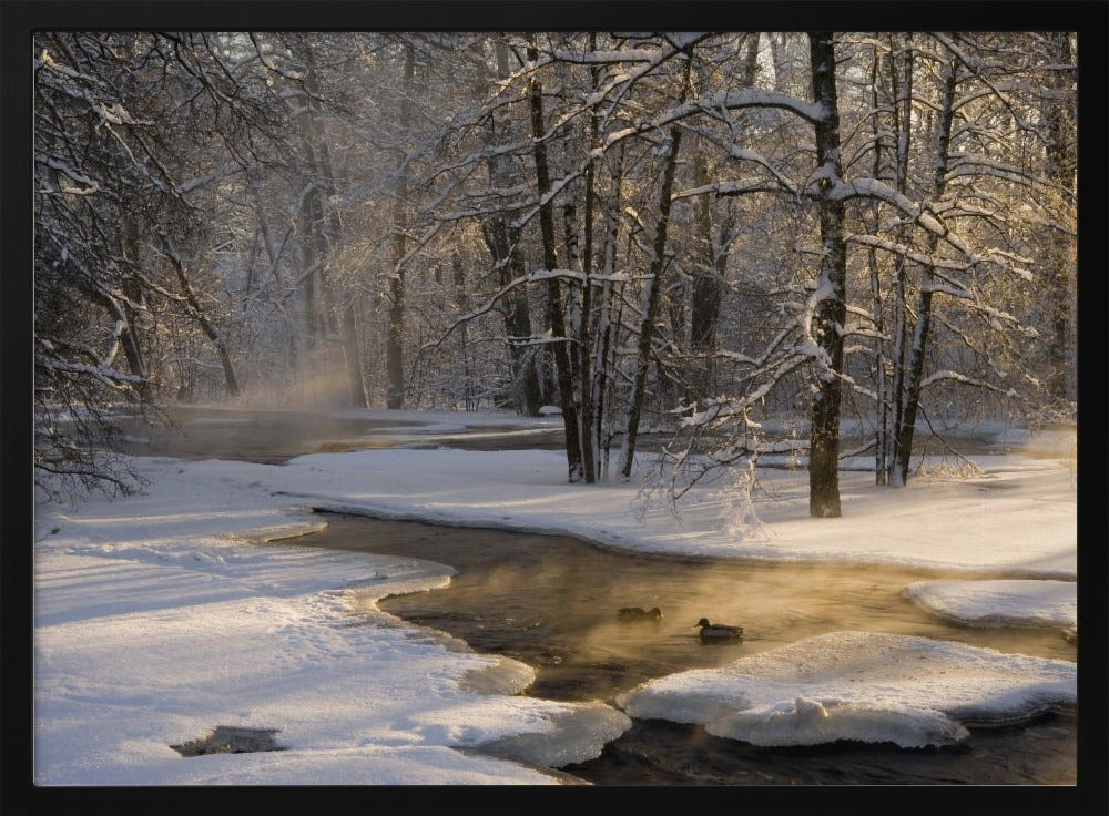 The first light | Poster