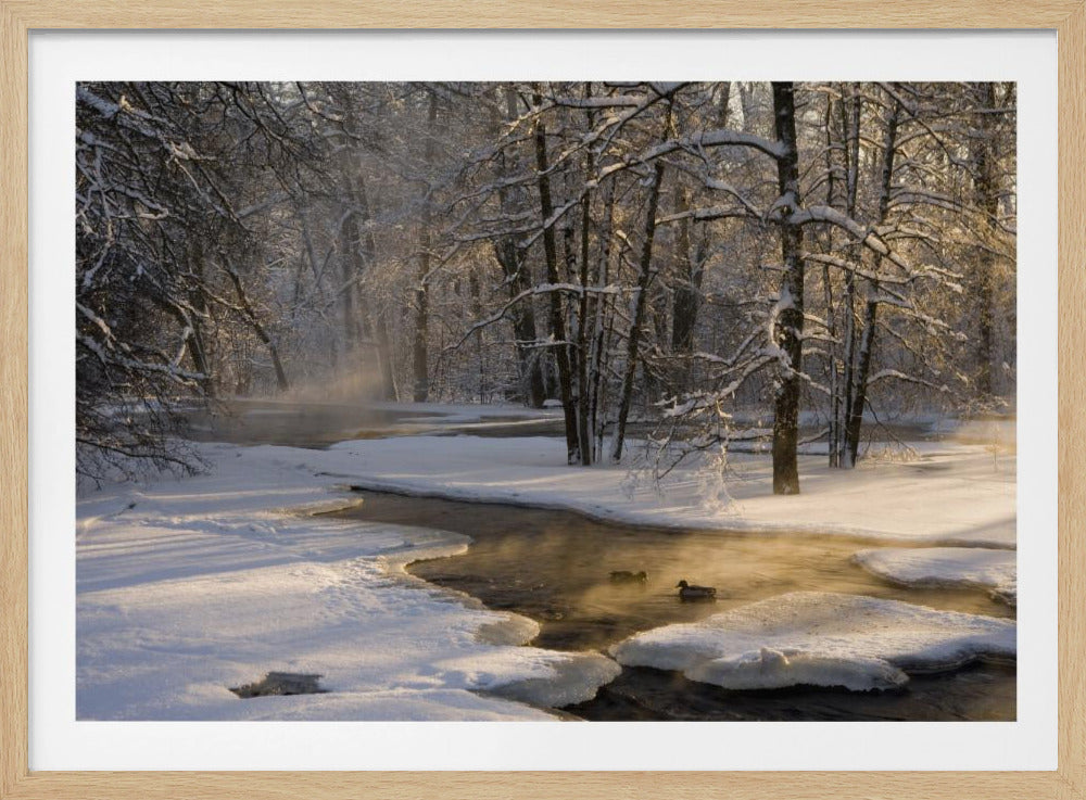 The first light | Poster