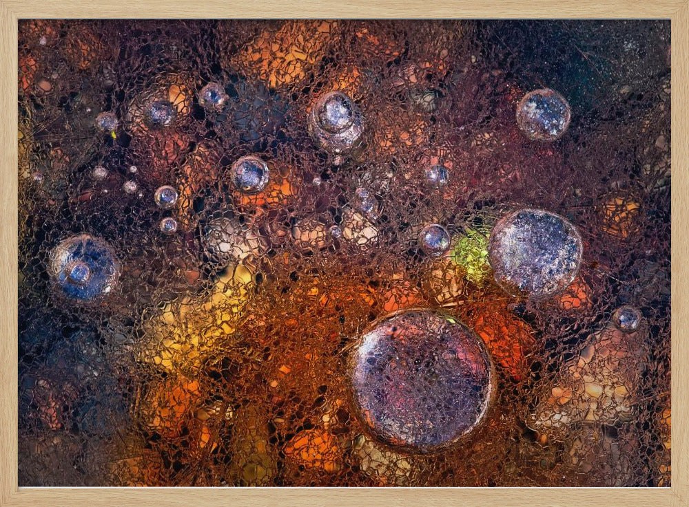 Winter Over Autumn | Poster