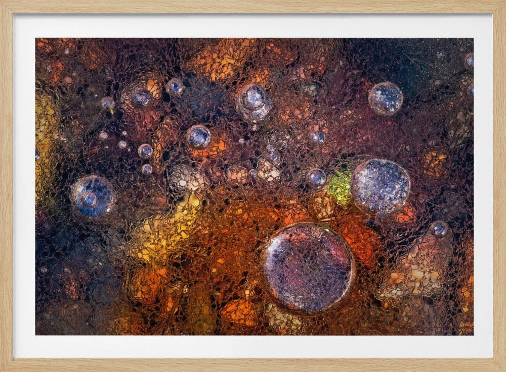 Winter Over Autumn | Poster