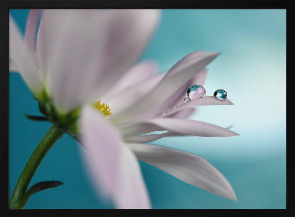 In turquoise Company | Poster