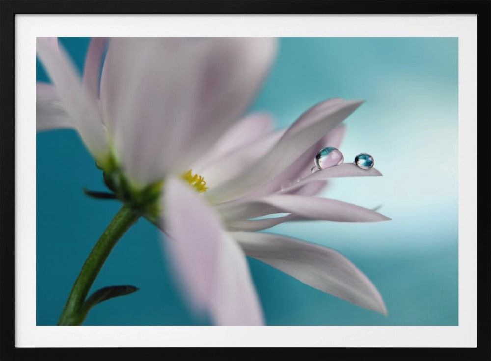 In turquoise Company | Poster