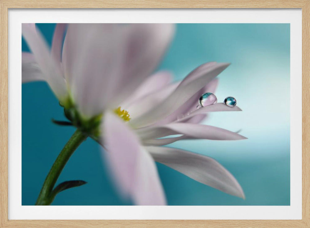 In turquoise Company | Poster