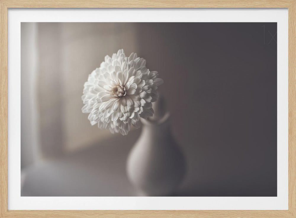 window light | Poster