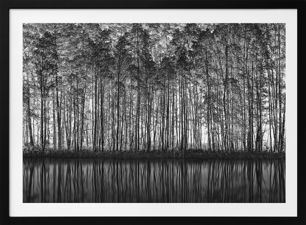 Pointillism Nature | Poster