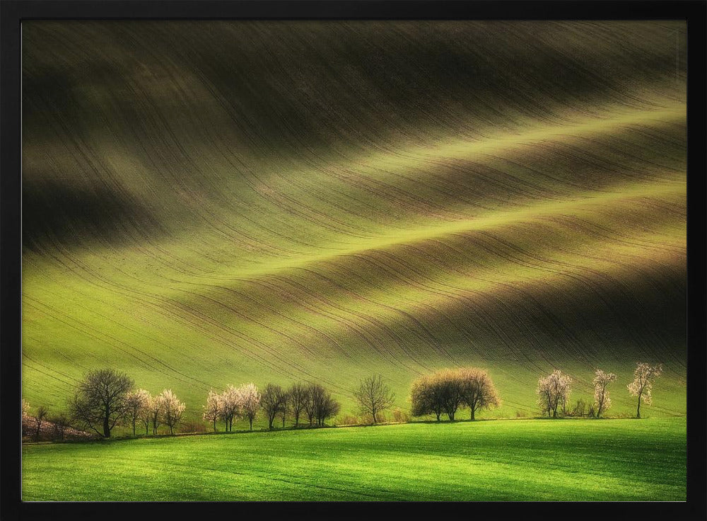 Moravian Fields | Poster