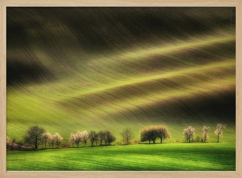 Moravian Fields | Poster