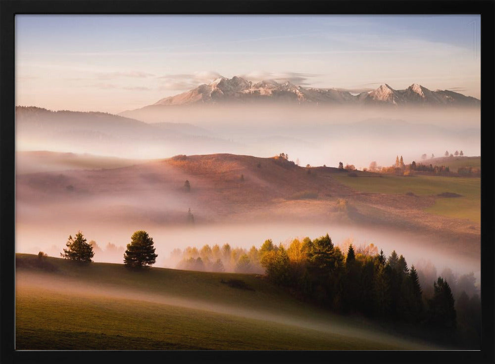 Just a silence | Poster