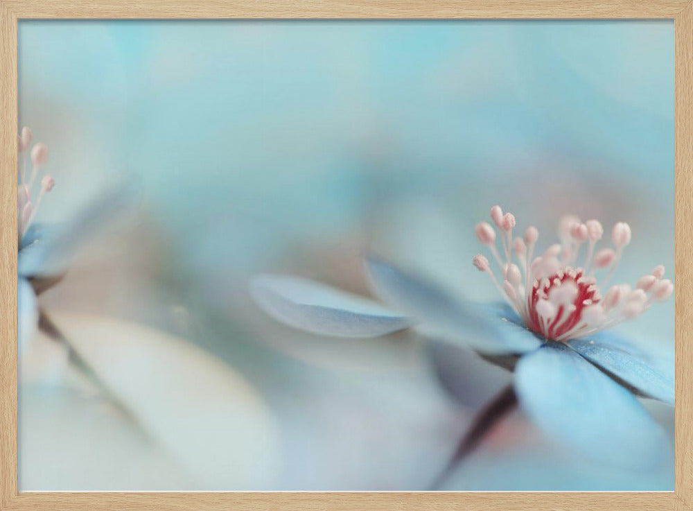 The two of us | Poster