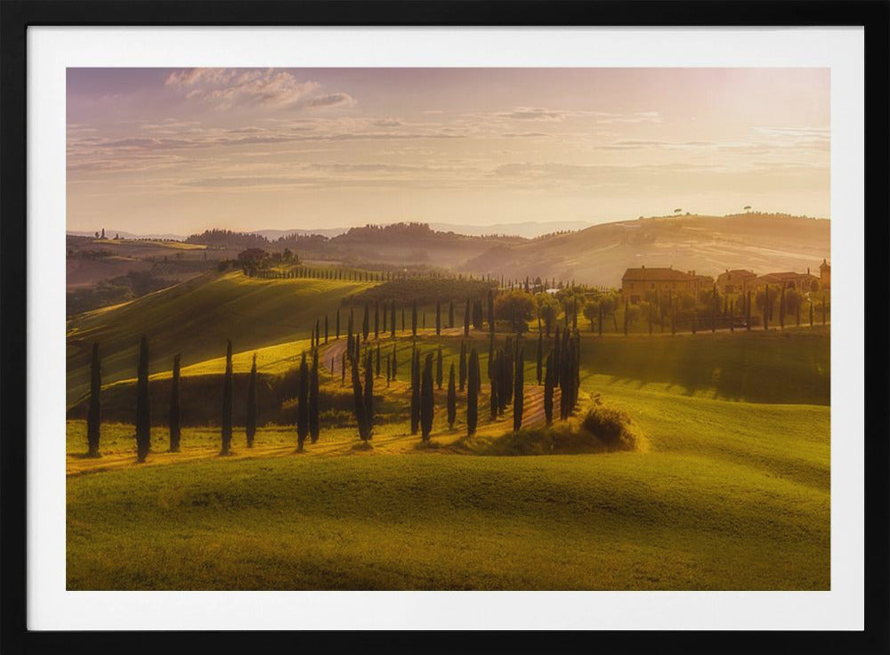 Waves of Light | Poster