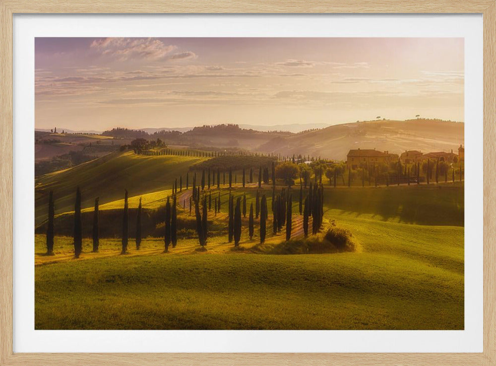 Waves of Light | Poster