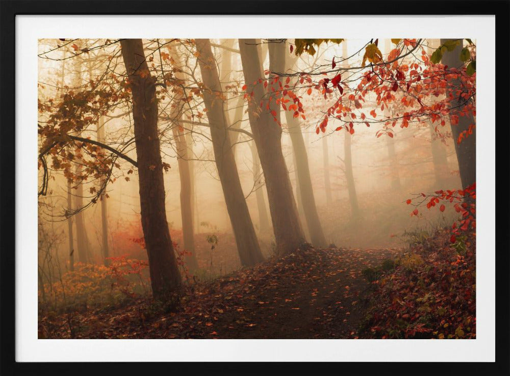 Towards the light. | Poster