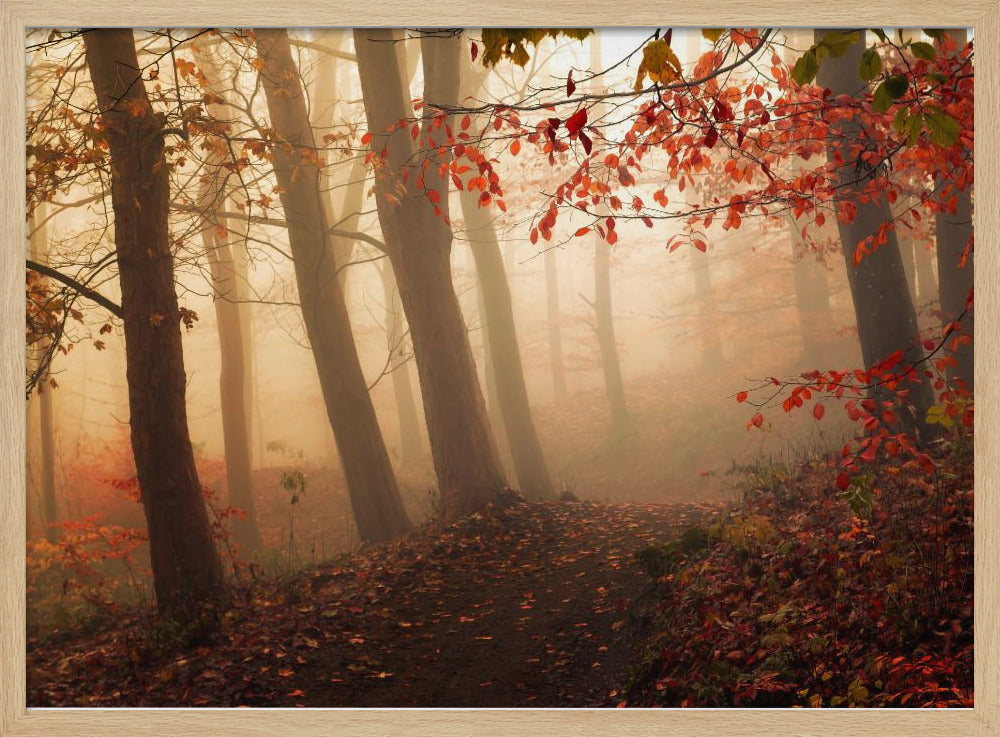 Towards the light. | Poster