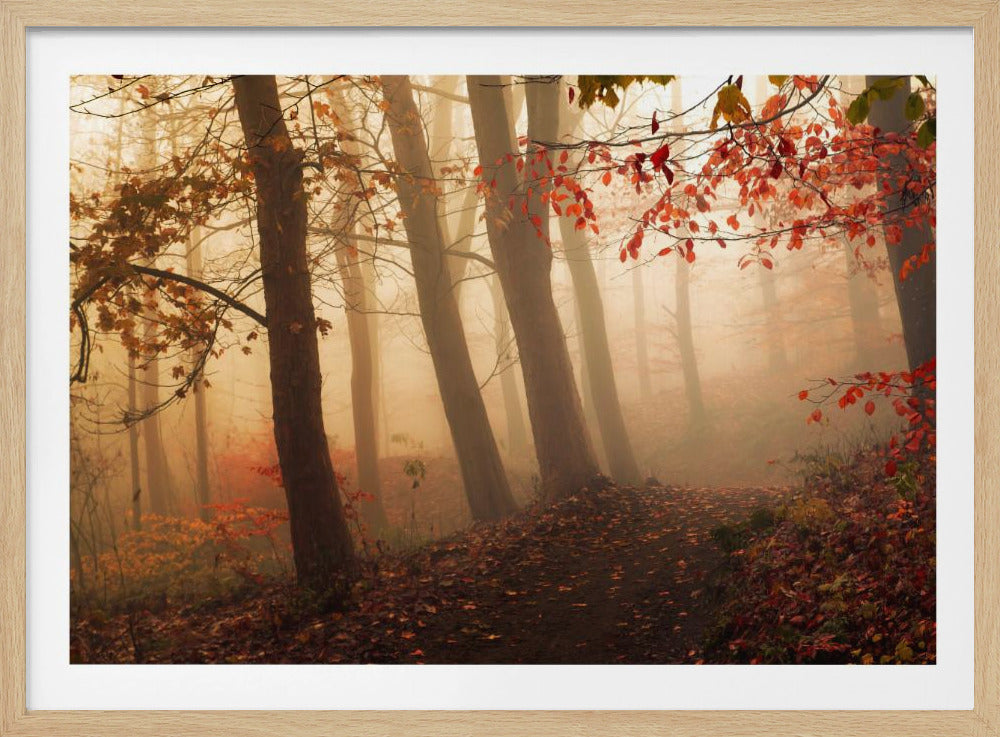 Towards the light. | Poster