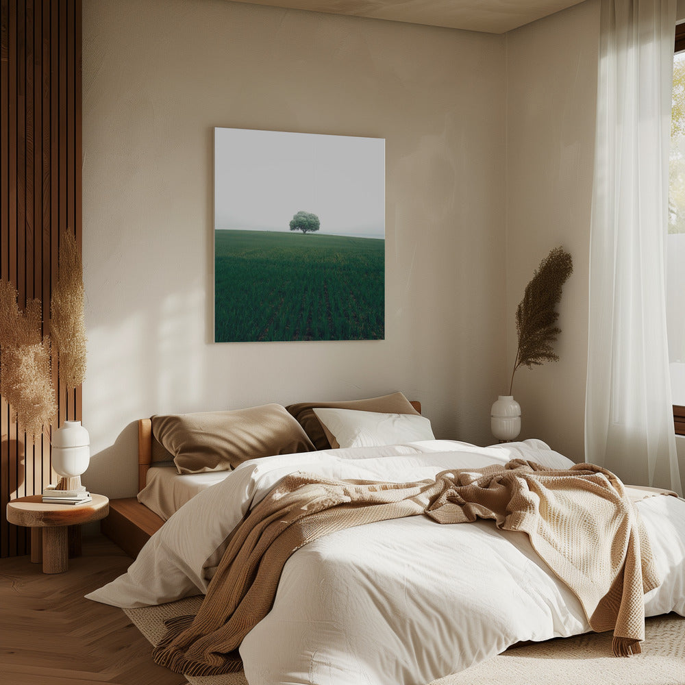 The lonely oak tree | Canvas