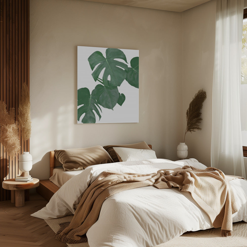 Monstera Aqua 01 | Canvas